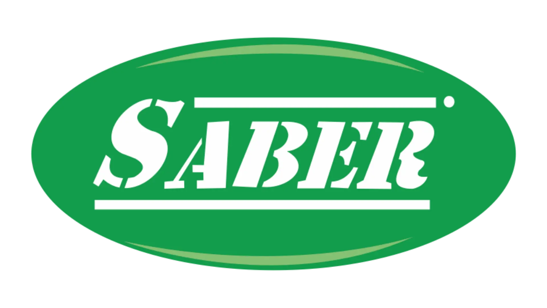 LOGO SABER